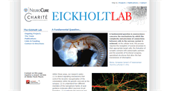 Desktop Screenshot of neurosignallab.com